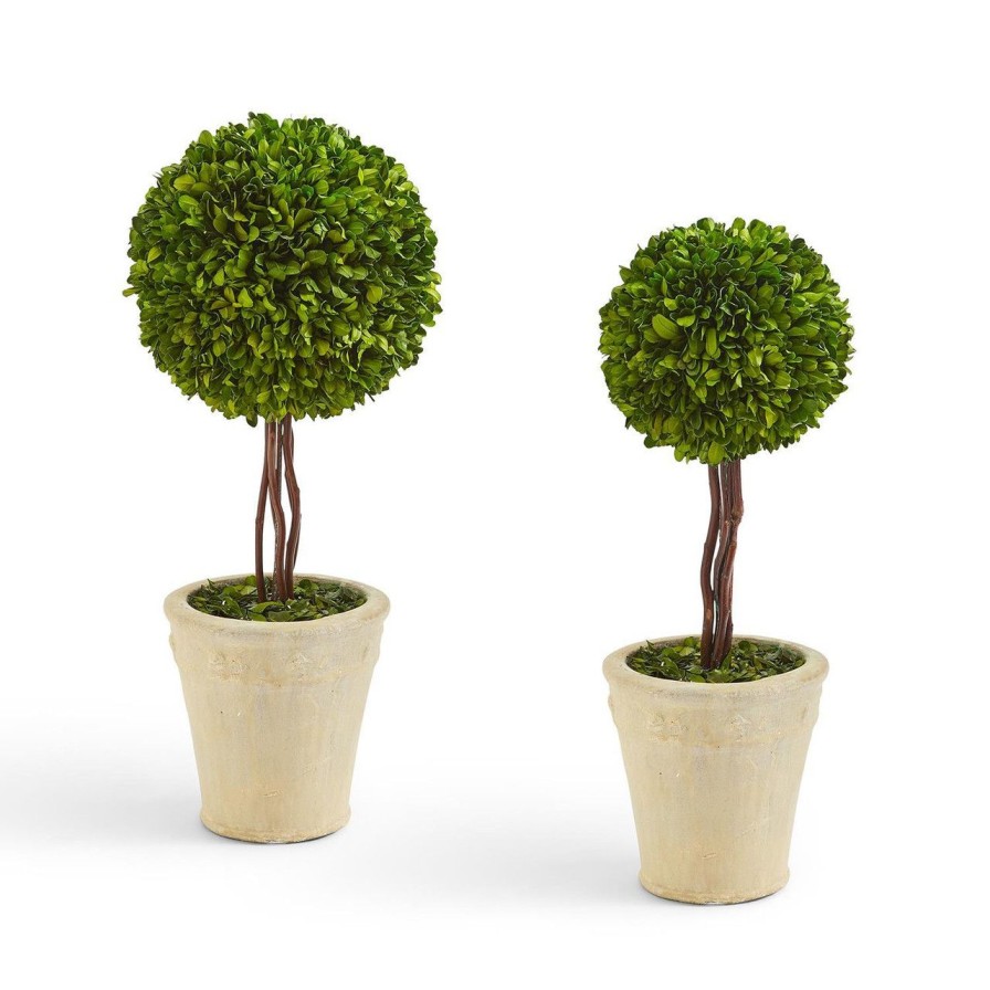 Home & Gifts TWO'S COMPANY | 53465 Large Preserved Boxwood Ball Topiary