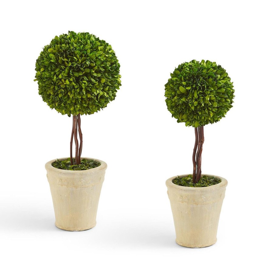 Home & Gifts TWO'S COMPANY | 53465 Small Preserved Boxwood Ball Topiary